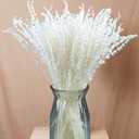 Iory White 180+Stems Dried Lavender Flowers Bundle-15''-17''Real Bleaching Cream White Lavender Bouquet for Home Wedding Boho Party Vase Decor, Crafts, Pack of 2 Silk Live Plants