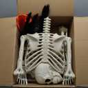 UMEELR 5.4FT Halloween Life Skeleton with Spider, Full Size Skeleton for Halloween Patio Lawn Garden Props Spooky Party Decoration