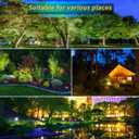 LED Landscape Lights,5W 120V AC Outdoor Pathway Garden Yard Spotlight,IP65 Waterproof Garden Flood Light,Outdoor Spotlight with Stake,UL Cord 5-ft with Plug (Pack of 2, Daylight White)