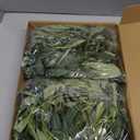 Giegxin 2 Pcs Total 10 ft Artificial Olive Leaf Vine Artificial Garland Hanging Green Vine with Fake Fruits Greenery Olive Leaves Decor for Wedding Backdrop Home Office Garden Wall Door