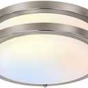 hykolity 10 inch Flush Mount LED Ceiling Light Fixture, 17W 1100lm, 2700K/3000K/3500K/4000K/5000K Adjustable Ceiling Lights, Brushed Nickel Saturn Dimmable Lighting for Hallway Bathroom or Kitchen
