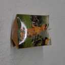 MENGKAO Inflatable Dinosaur Costume Kids Dinosaur Suit Blow up Full Body Dino Costume Boys Girls for Halloween Cosplay Party Medium