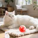 2 x Cat Hair Keychain Set - Pet Fur Keepsake with Plastic Storage Ball (Doubles as Cat Toy) (red)