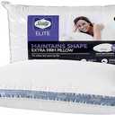 Sealy Pillow Firm/Extra Firm Standard/Queen
