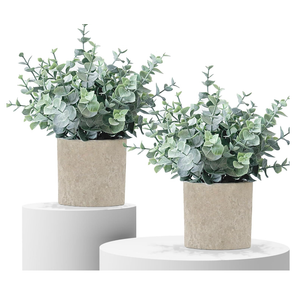 2 Pack Fake Plants Eucalyptus Small Potted Artificial Plants Indoor Greenery for Shelf Desk Home Bathroom Modern Farmhouse Living Room Coffee Table Decor