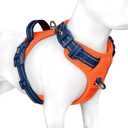PHOEPET No Pull Dog Harness, Unique Colors Reflective Adjustable Dog Vest, with Soft Training Handle Metal Clips for  Dogs (Orange Base & Blue Straps,M)