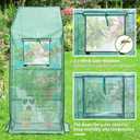 Ohuhu Greenhouse for Outdoors with Mesh Side Windows, 3 Tiers 4 Shelves Small Walk-In Green House Plant Stands Plastic PE Cover Outside Portable Warm House for Seedling Flowers Growing, 4.8x2.5x6.4 FT