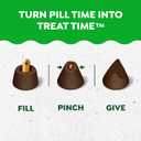 Greenies Pill Pockets for Dogs Large Size, Dog Treat Pouch for Capsule Medication, Hickory Smoke Flavor, 15.8 oz. Pouch (EXP 04/17/26)