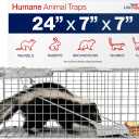 24" Humane Cat Trap for Stray Cats, Live Animal Cage for Feral Kittens, Possum, Raccoon, Rabbit, Armadillo Trap Catch and Release by LifeSupplyUSA