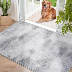 Door Mat, Front Indoor Doormat 31"x47" Non Slip Entryway Rug Indoor, Washable Small Rug for Entrance Bedroom Kitchen Bathroom Laundry Low Profile (2.6x4 Feet), 2.6' X 3.9'