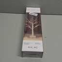 EAMBRITE Lighted Birch Tree Christmas Decorations Indoor for Home, 2Pack 24 LED Battery Operated/USB Tabletop Mini Small Artificial White Trees with Lights for Table Mantel Winter Xmas Decor (2FT)