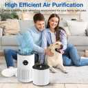 D10 Replacement Filter Compatible with Tailulu D10 Air Purifier, 3-in-1 HEPA D10 Replacement Filter, 2 Pack