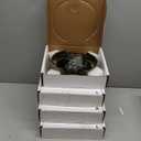 Youxmoto 10 x 2-1/4 Trailer Electric Brake Assembly (2 Right Hand+ 2 Left Hand), for 3,500 lbs Trailer Axles Electric Brakes Kit. 2 Pairs