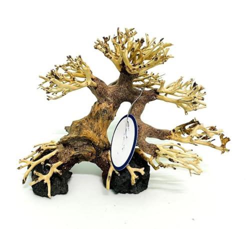 Bonsai Driftwood Aquarium Tree (8in H x 6in L), Handcrafted Fish Tank Decoration | Easy to Install Driftwood Bonsai for Fish Tank | Decor Aquascape Wood (Bonsai Tree On Rocks)