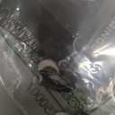 NFL Philadelphia Eagles Swirl Heart Earrings