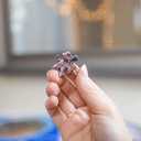 1000 Piece Round Jigsaw Puzzle of Venice, Italy - Challenging & Educational Art for Adults & Kids - Unique Panoramic Photo of City of Venice - 26.6 Inch Circular Puzzle