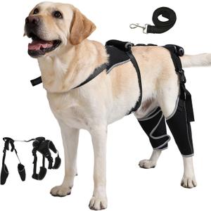 Dog Knee Brace with Adjustable Support Acl Hind Leg for Support with Cruciate Ligament Injury, luxating Patella,Arthritis,Dog Acl Knee Brace with Dog Chest Harness (XL, Black01)