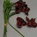 Fqueelvys Iris Flowers Artificial Real Touch Flowers 6 PCS 18.9 In Long Stems Artificial Iris for Decoration for Wedding Bridal Home Kitchen Party(Burgundy)