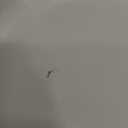 SENSARTE Ceramic Pots and Pans Set Nonstick, Kitchen Cookware Sets, 14-Piece Induction Cookware, Non-toxic Healthy Non Stick Cooking Set, with Frying Pans Set, PFAS PTFE PFOA PFOS Free