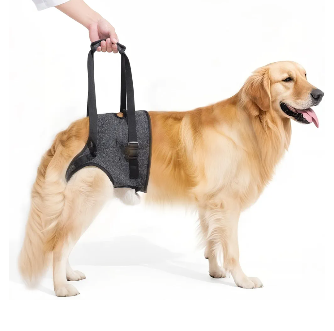 Dog Sling for Large Dogs Hind Leg Support, Adjustable Soft Padded Harness for Weak, Injured, or Disabled Back Legs, Helps Support Senior, Arthritic, and Mobility-Impaired Dogs (X-Large)