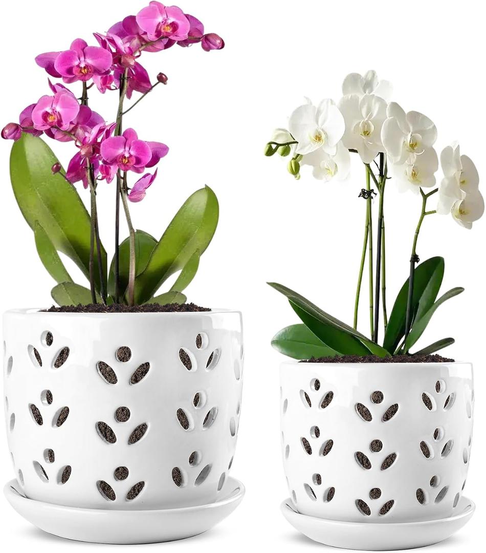 REMIAWY Orchid Pot, 2 Pack Orchid Pots with Drainage Holes and Saucer, 6 Inch and 5 Inch Large Ceramic Planter for Repotting Indoor Plants, Succulent, Decorative, Good Air Circulation, White, 6.1 Inches , 5 Inches