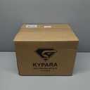 KYPARA Motorcycle Dual Visor Flip up Modular Full Face Helmet with DOT Certification of Impressionism (Medium)