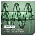 Biolage Color Last Conditioner - Protects & Preserves Color Treated Hair, Hydrates & Repairs Damaged Hair, Adds Shine, Vegan, Paraben-Free (33.8 Fl Oz (Pack of 1))