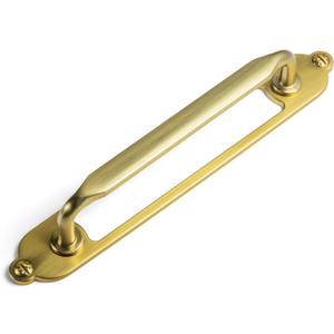 Brushed Gold Zinc Alloy Cabinet Handle with Backplate - 5''(128mm) Hole Center Cabinet Pull Hardware for Bedroom, Kitchen, 2 Pack（G025）