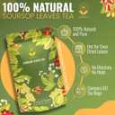 Jasmali Soursop Tea - 60 Dried Soursop Leaves Tea Bags, Herbal Tea, Hoja de Guanabana, Vacuum Sealed, Sourced from Thailand, Caffeine Free, Gluten Free