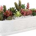 MyGift 13.5 inch Succulent Planter Pot, Oval Modern Ceramic Plant Box Container with Wave Textured Pattern and Removable Saucer Drip Tray (White)