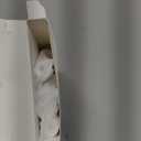 Replacement Toothbrush Heads for AquaSonic Duo Series and Home Dental Center Electric Toothbruh, NOT Compatible with Duo Series Pro, 5 White + 5 Black (1 Count (Pack of 10))