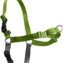 PetSafe Easy Walk Harness for Dogs - Pull-Free Walks - Patented Martingale Loop Design - Front Chest Leash Attachment - Comfort Straps - Breathable Harness Design - Large, Apple Green/Gray