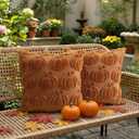 2 x Thmyo Fall Decorative Throw Pillow Covers 18x18 inch Set of 2, Caramel Pumpkin Cushion Cases for Autumn, Soft Faux Fur DIY Pillowcases for Sofa Couch Bedroom Thanksgiving Winter Home Decor Gift