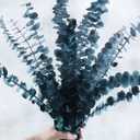 10 PCS Preserved Eucalyptus Stems, 12 Inches Natural Artificial Flower Bouquet for Home Decor/Floral Arrangements/Weddings/Spa Showers, Artificial Eucalyptus, Blue