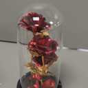 Mothers Day Glass Rose Gifts for Mom Women, Rose Flower Birthday Gifts for Women Mom Wife Girlfriend, Light Up Rose in A Glass Dome, Rose Gifts for Valentines, Mothers Day, Womens Day (Red)