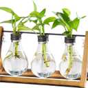 Marbrasse Plant Propagation Stations with Wooden Stand, Desktop Plant Terrarium Holder Bulb Vase, Glass Vase Container with Metal Swivel Holder for Hydroponics of Home Garden Office Decor Lover Gifts