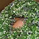 26'' Summer Wreath for Front Door, Porch- Artificial Eucalyptus, with Babys Breath Flowers Large Wreath for Home, Farmhouse Wall Decor, Green White