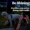 rabbitgoo Dog Harness Medium Sized, No Pull Pet Harness with 3 Buckles, Adjustable Soft Padded Vest with Control Handle, Walking Reflective Pet Vest for Medium Dogs, Red, M