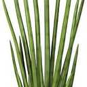 36" IFR Sansevieria Snake Artificial Succulent Plant w/Pot -Green