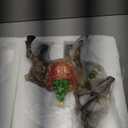 SUYNYBHF Simulated Reindeer Christmas Decor, Indoor 11.6-Inch Christmas Reindeer Figurines, Desktop Deer Statue, Resin Deer Statue Home Decoration, Male (Art Deco)