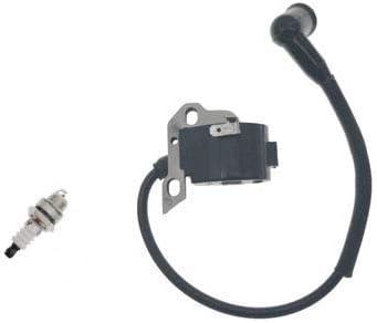 PARTSRUN #4203-400-1301 Ignition Coil with Spark Plug for STIHL BR400 BR340L BR400 BR380 BR 380 400 340 Leaf Blower ZF140-HHS