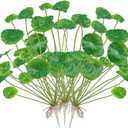 3Pcs Chinese Money Plant 14.5 in Artificial Lotus Leaf Fake Marsh Pennywort Plant Greenery Aesthetic House Plants for Home Decor Indoor Bathroom Table Shelf Desk Office Decor