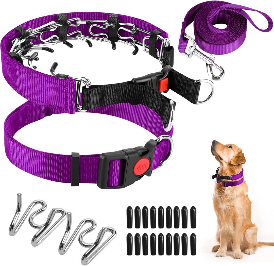 Prong Training Collar with Comfort Tips and Quick Release Snap Buckle - Dog Choke Pinch Collar with Nylon Cover - Classic Collar and Leash for Small to Large Dogs (Large, 3.5mm, 17-21'' Neck, Purple)