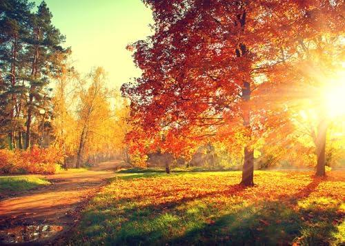 CapiSco 10x8Ft Fall Photography Backdrop Autumn Forest Scenery Backdrop Sunshine Maple Red Tree Leaves Photography Background for Thanksgiving Party Decoration Banner Baby Shower Studio Props