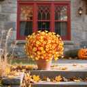 Halloween Artificial Morning Glory Fall Flowers for Outdoors, 12 Bundles UV Resistant Faux Mums, Autumn Silk Flowers for Decoration in Orange Yellow