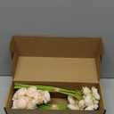 Floroom Ranunculus Artificial Flowers 18 Pcs Champagne Faux Silk Mini Ranunculus Bulk Fake Wedding Filler Flowers for DIY Cream Bouquets, Centerpieces, Bridal Shower Decorations & Arrangements