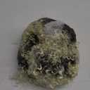 Smiffy's Women's 80's Wild Child Wig Blonde Short Curly with Bow