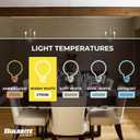 Bulbrite Incandescent B10 Medium Screw Base (E26) Light Bulb, 40 Watt, Clear ,1 Count(Pack of 1)