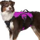 rabbitgoo Escape Proof Dog Harness, Soft Padded Full Body Pet Harness, Reflective Adjustable No Pull Vest with Lift Handle and Leash Clip for Dogs Walking Hiking Training, M, Purple