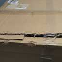 Front Struts w/Coil Spring (Pair)